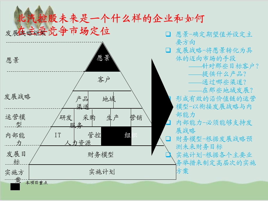 某集团发展战略分析课件.ppt_第2页