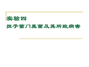 植物病理学实验实验四、担子菌门真菌及其所致病害课件.ppt