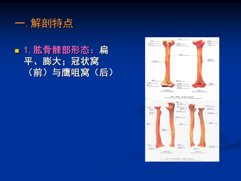 小儿肱骨髁上骨折优质ppt课件.ppt_第2页