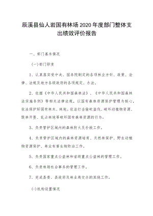 辰溪县仙人岩国有林场2020年度部门整体支出绩效评价报告.docx