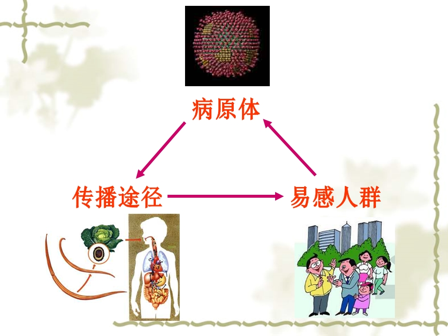 学生常见传染病及其预防课件.ppt_第2页