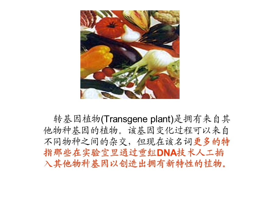 植物基因工程课件.ppt_第2页