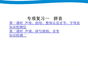 小升初六年级语文总复习ppt课件专项复习一拼音.ppt