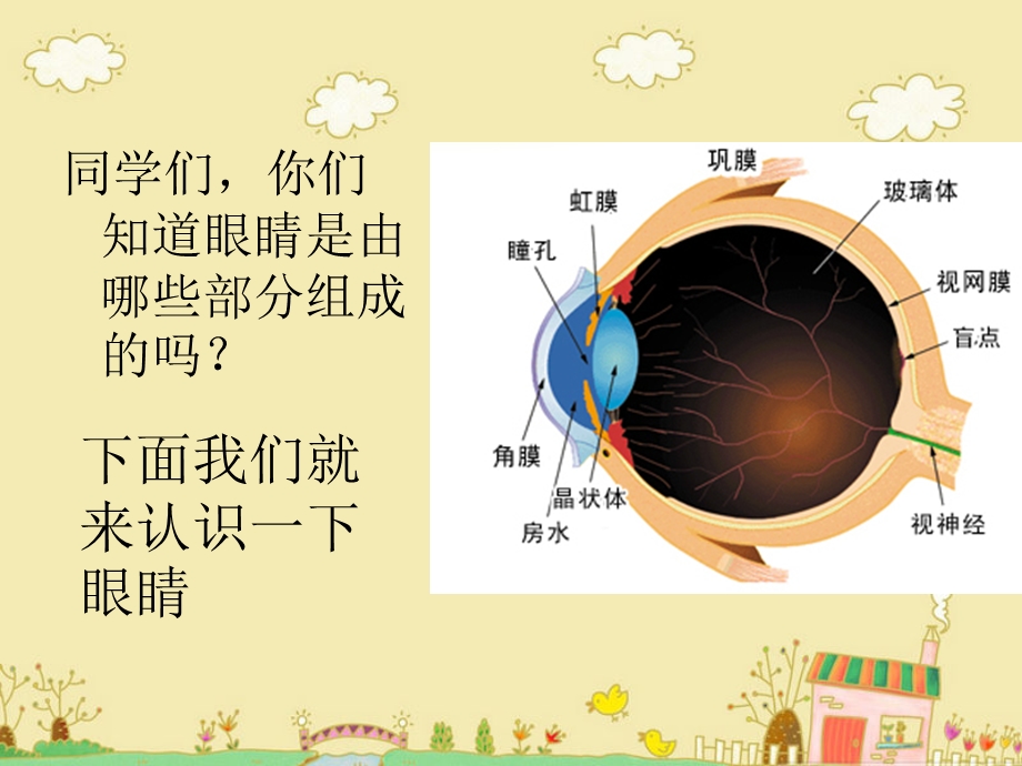 小学生健康教育1 课件.ppt_第3页