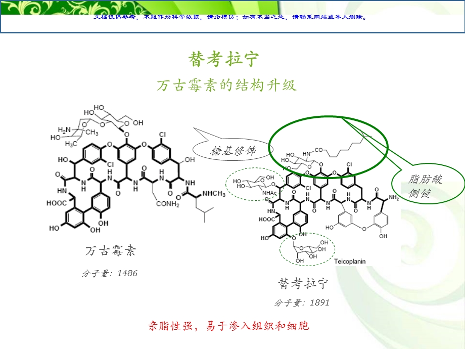 替考拉宁VS万古霉素ppt课件.ppt_第3页