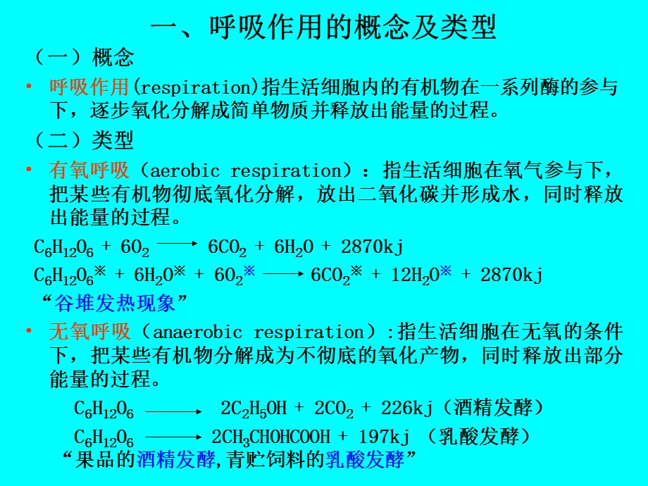 植物生理学植物的呼吸作用课件.pptx_第3页