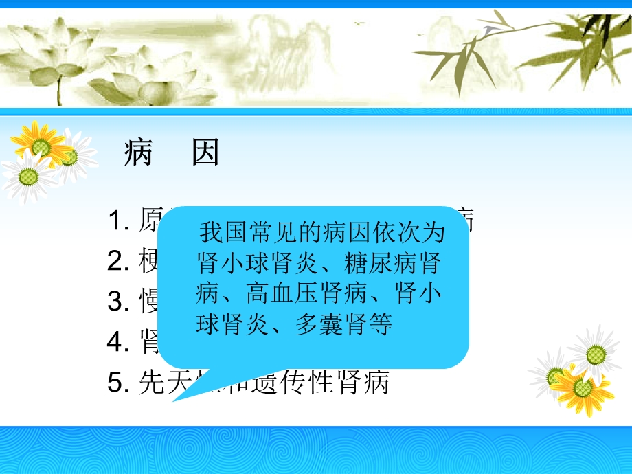 慢性肾衰竭的护理查房课件.ppt_第2页