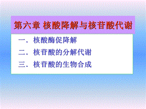 核酸降解与核苷酸代谢 课件.ppt