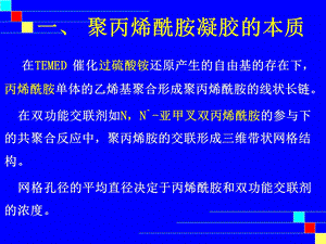 植物蛋白质的聚丙烯酰胺凝胶电泳和双向电泳课件.ppt