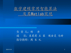 数学建模常用智能算法及其Matlab实现资料课件.ppt