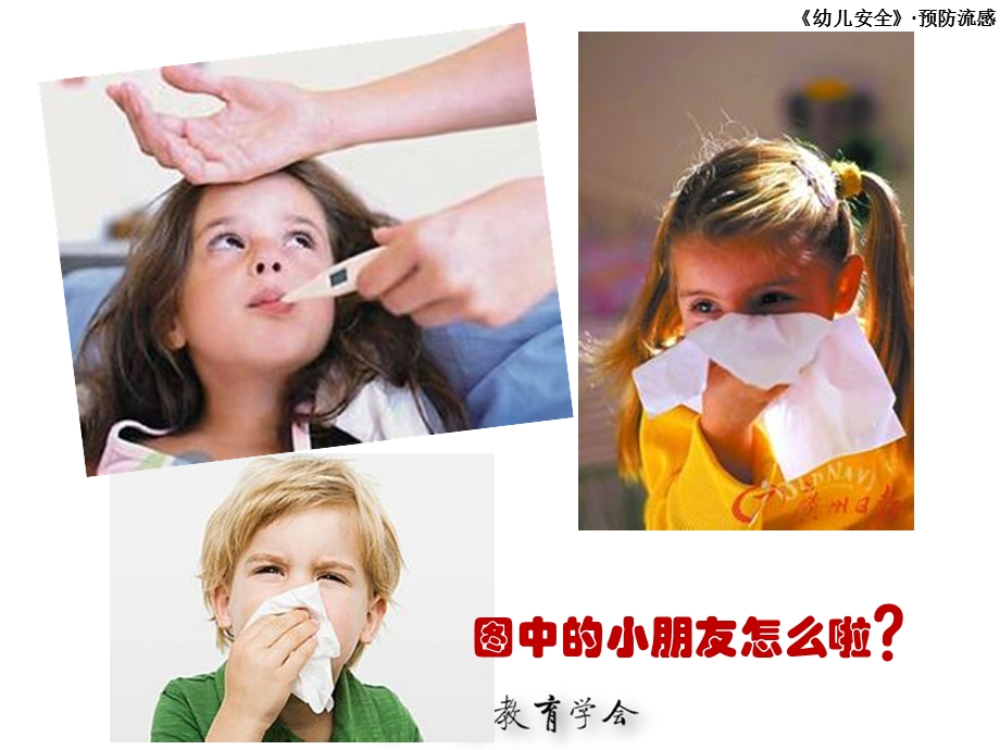 幼儿园预防流感培训ppt课件.ppt_第2页