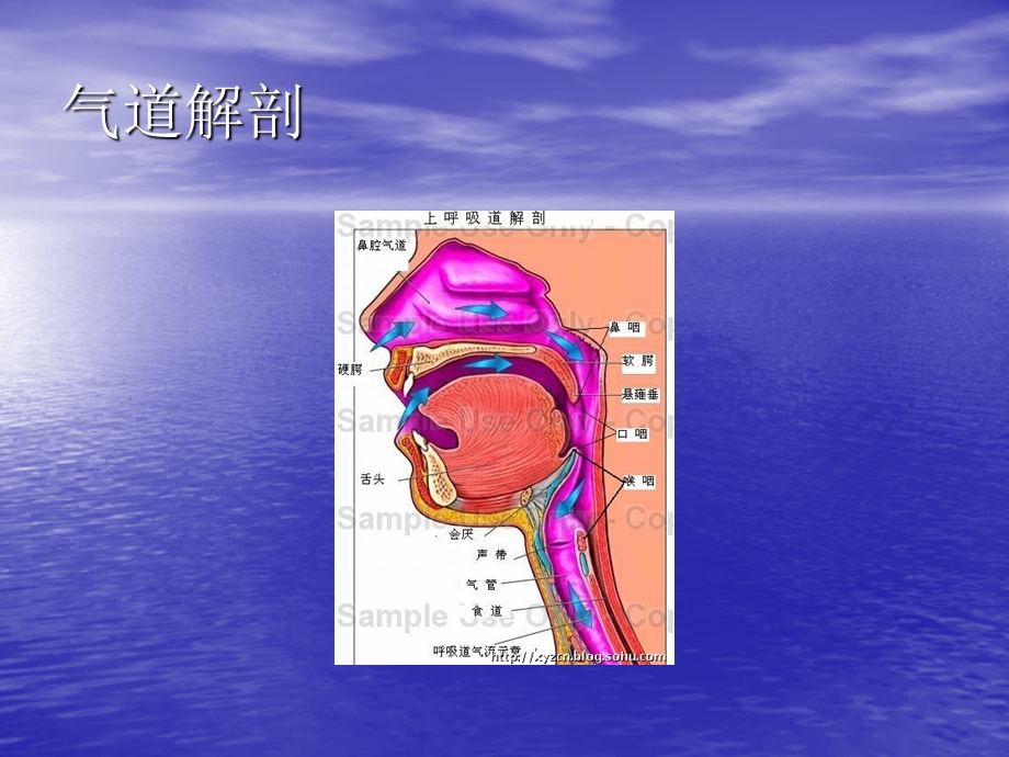 气管插管培训PPT讲稿课件.ppt_第2页