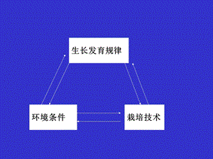 果树器官的生长发育课件.ppt