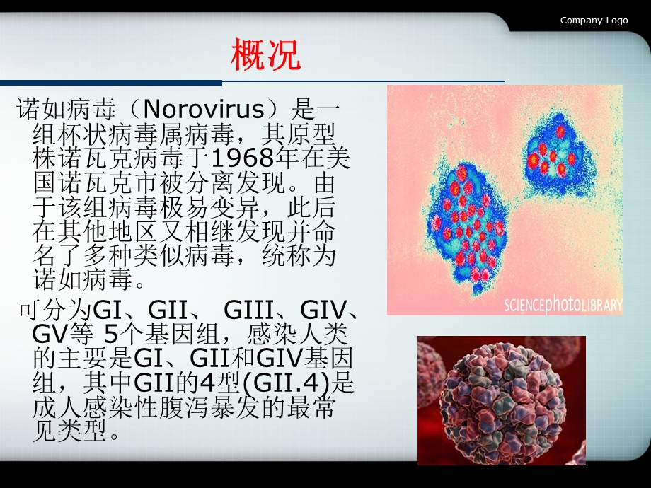 小学预防诺如病毒主题班会ppt课件.ppt_第2页