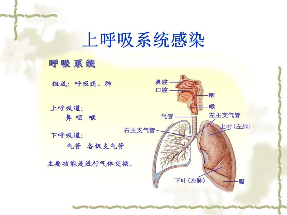 幼儿园常见传染病培训ppt课件.ppt_第2页