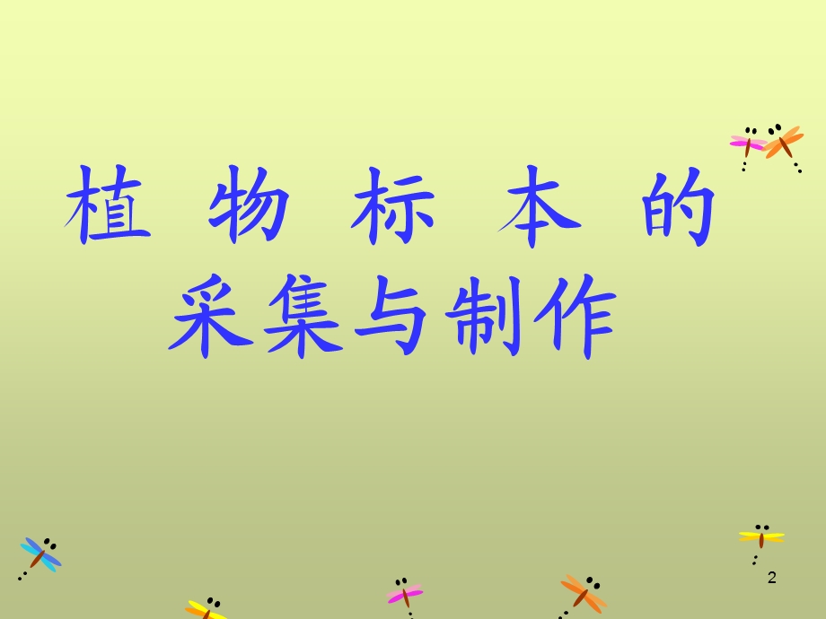 小学植物标本制作课件.ppt_第2页