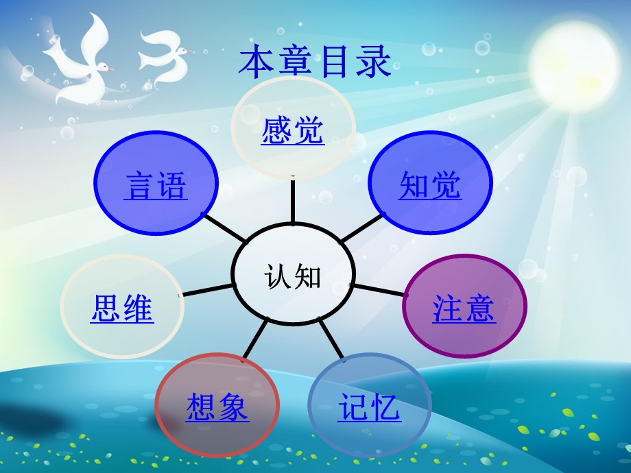 学前儿童认知发展ppt课件.ppt_第2页