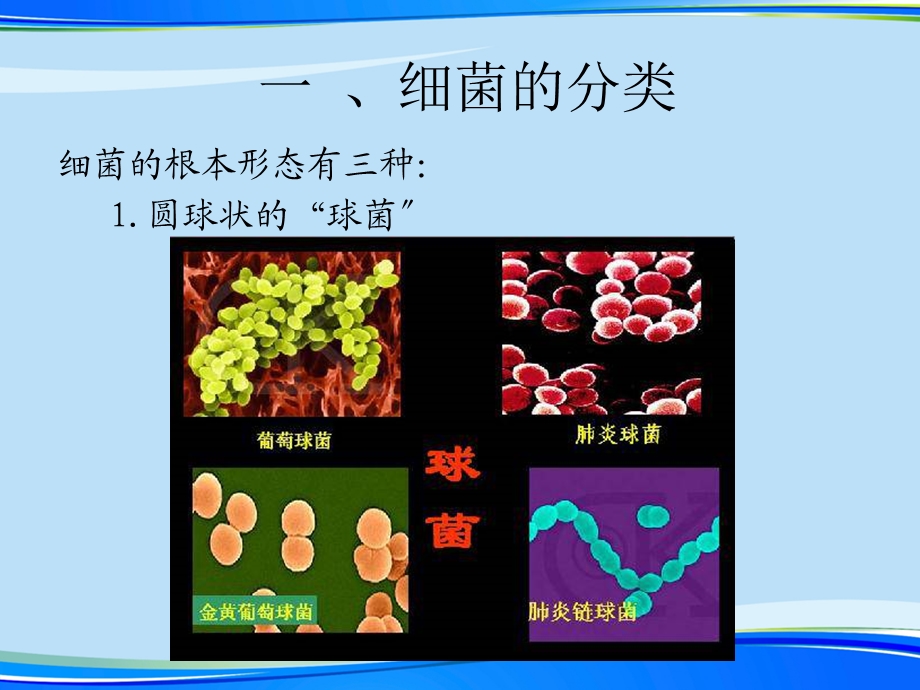 小学生细菌科普(完整版)ppt资料课件.ppt_第3页