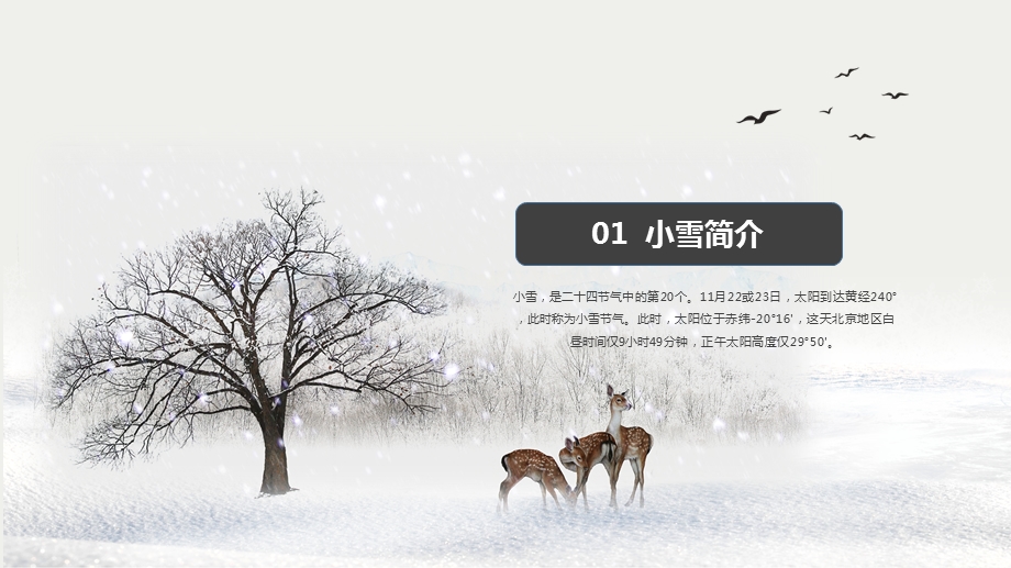 小雪节气介绍PPT模板课件.pptx_第3页