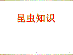 昆虫知识课件.ppt