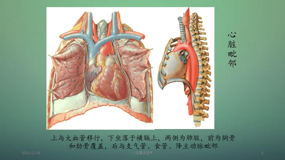 心脏重症超声(新ppt课件).ppt_第2页