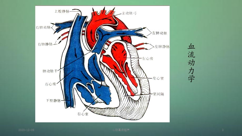 心脏重症超声(新ppt课件).ppt_第3页