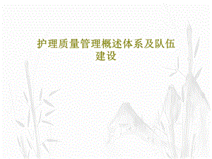 护理质量管理概述体系及队伍建设课件.ppt