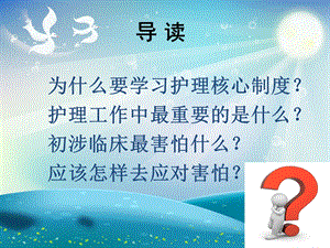 护理核心制度解读ppt课件.ppt