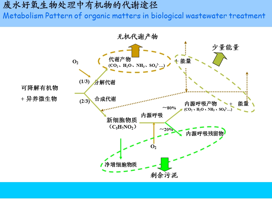 水污染控制工程：第12章 活性污泥法课件.ppt_第3页