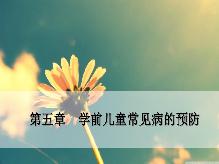 学前卫生学预防学前儿童常见病课件.ppt_第1页