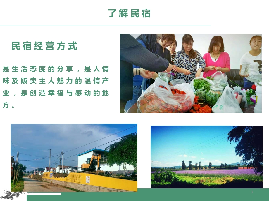 民宿基本知识课件.ppt_第3页