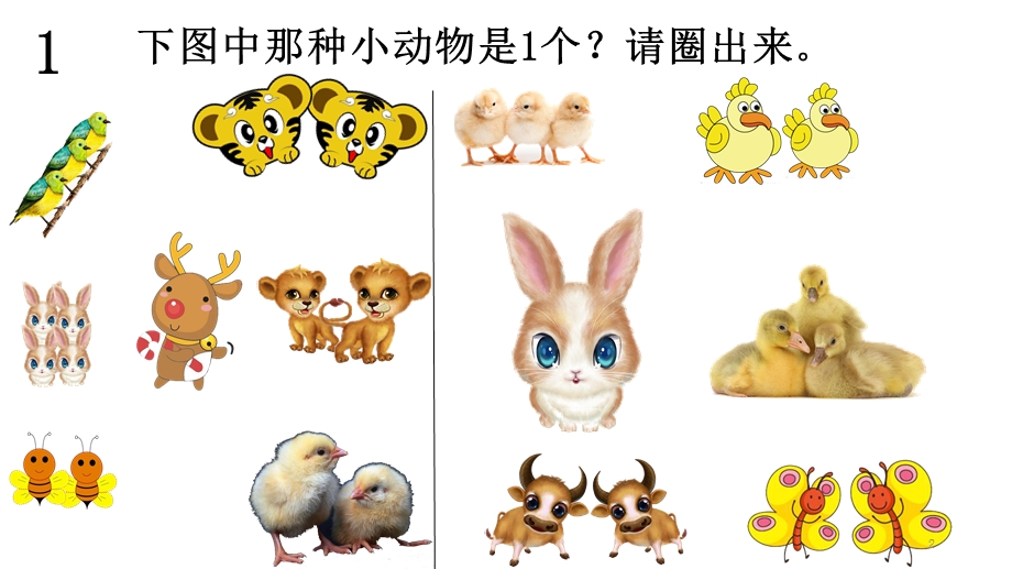 幼儿小小班连线游戏课件.ppt_第2页