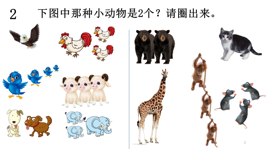 幼儿小小班连线游戏课件.ppt_第3页