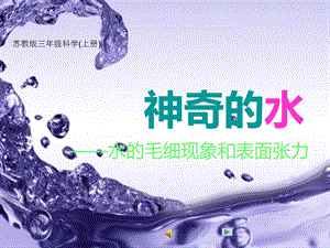 小学三年级上册科学《神奇的水》水的毛细现象和表面张力课件.pptx