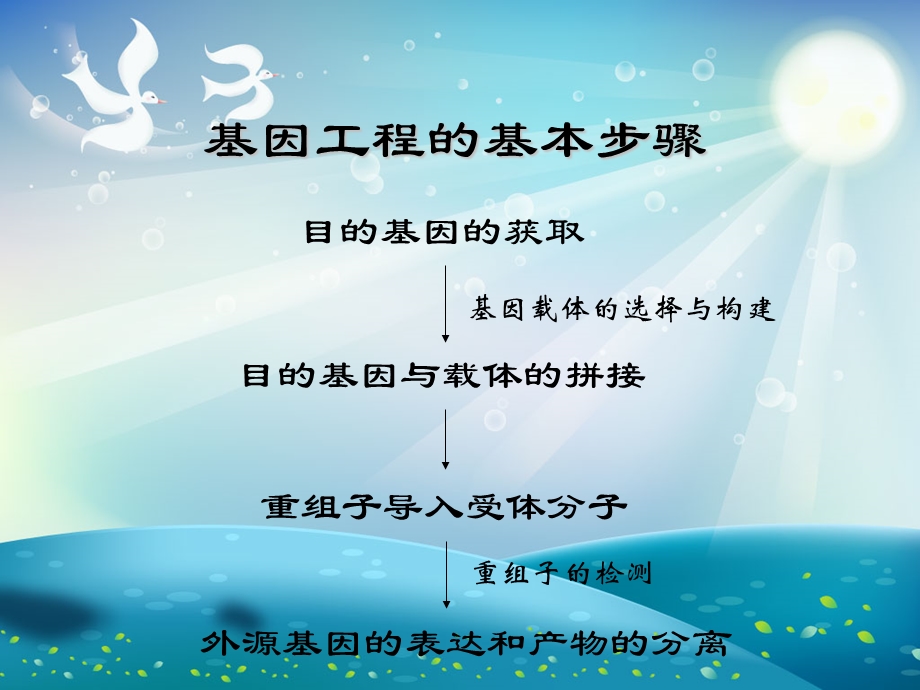 植物遗传转化方法和技术课件.ppt_第2页