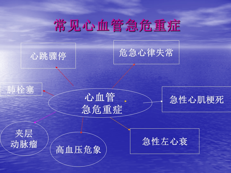 心血管危急重症的观察和护理PPT讲稿课件.ppt_第3页