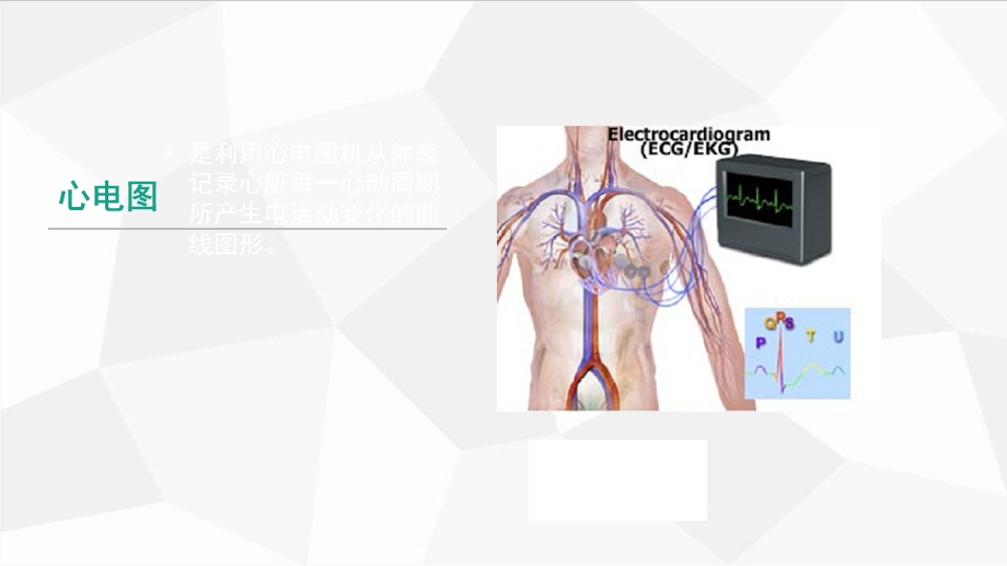 心电图基础知识培训学习讲解课件.pptx_第3页