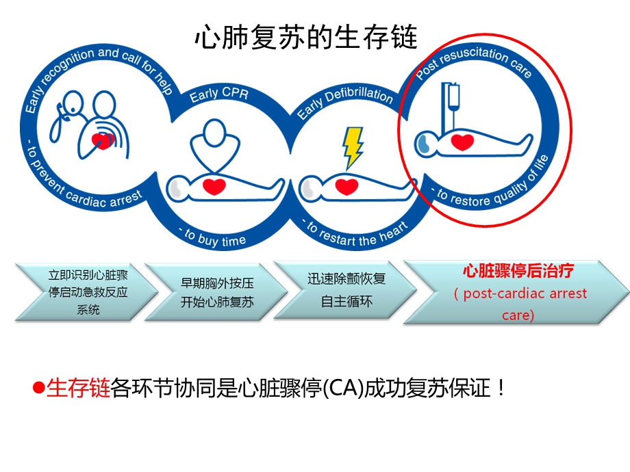 心脏骤停后治疗课件.ppt_第3页