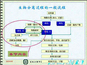 微生物细胞破碎2 4全解课件.ppt