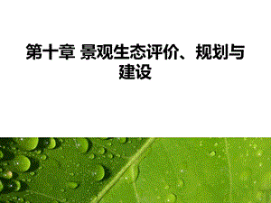 景观生态学：第十章 景观生态评价、规划与建设课件.pptx