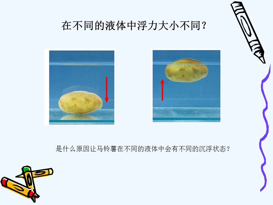 探索马铃薯沉浮的原因课件.ppt_第3页