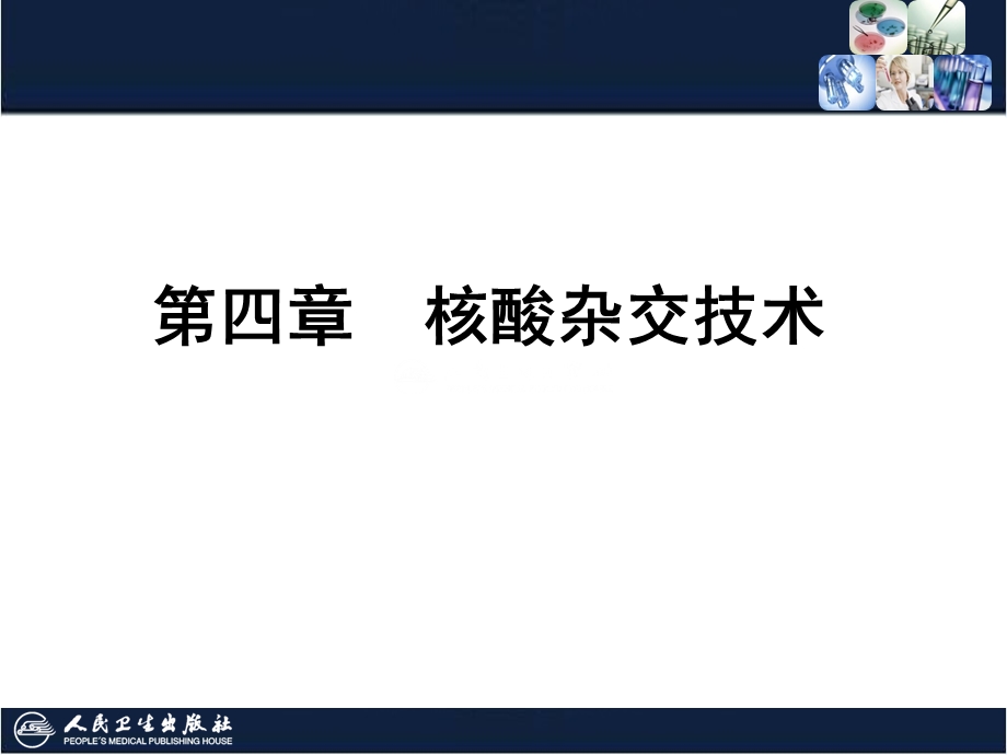 核酸杂交技术全解课件.ppt_第1页