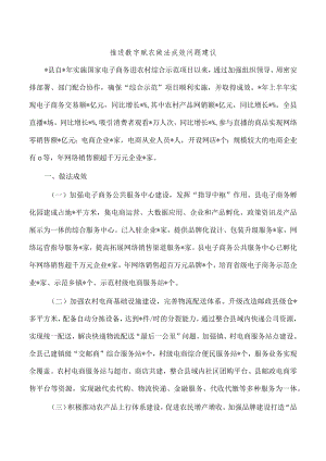 推进数字赋农做法成效问题建议.docx