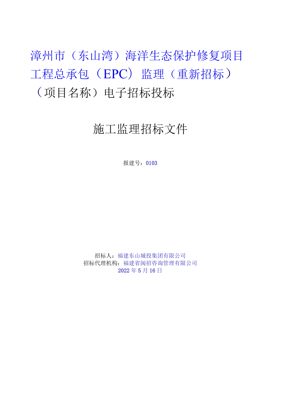 福建省公路水运工程电子招标投标示范文本2020福建省水运工程施工监理招标文件.docx_第3页