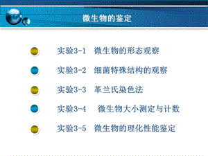 微生物实验技术课件.ppt