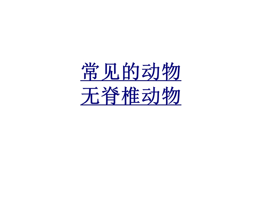 常见的动物无脊椎动物优质课件.ppt_第1页