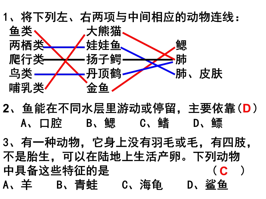 常见的动物无脊椎动物优质课件.ppt_第2页