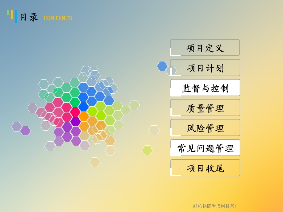 新药物研发项目解答课件.ppt_第2页