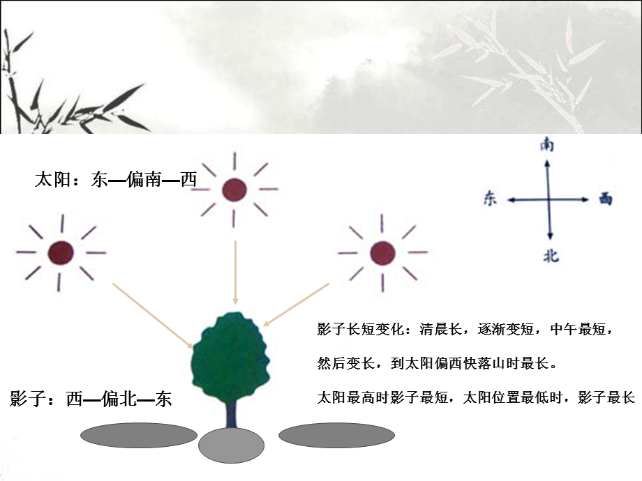 教科版科学五年级上册光是怎样传播的课件.ppt_第2页