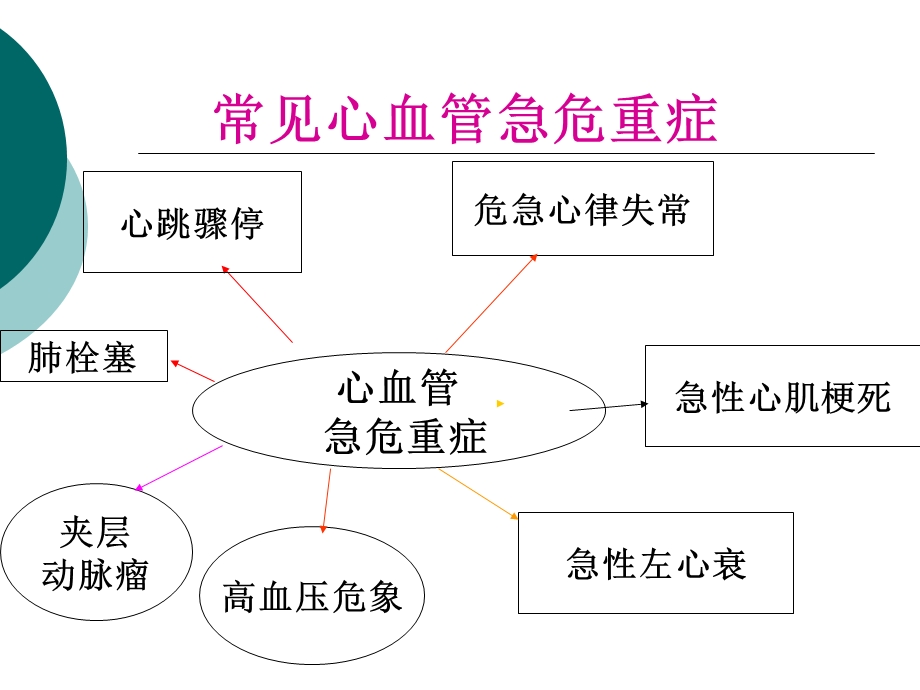 心血管危急重症的观察与护理课件.ppt_第2页